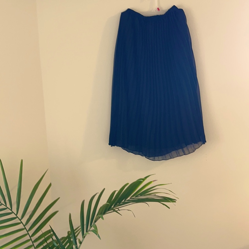 H n M knee length pleated chiffon skirt. - Picture 2 of 4